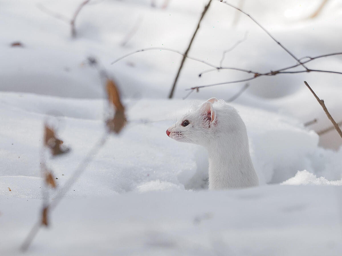 Click image for larger version

Name:	213-2-2.jpg
Views:	263
Size:	112.3 KB
ID:	870159