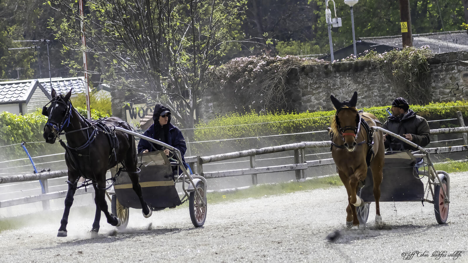 Click image for larger version

Name:	del and rodney.jpg
Views:	561
Size:	379.5 KB
ID:	874512