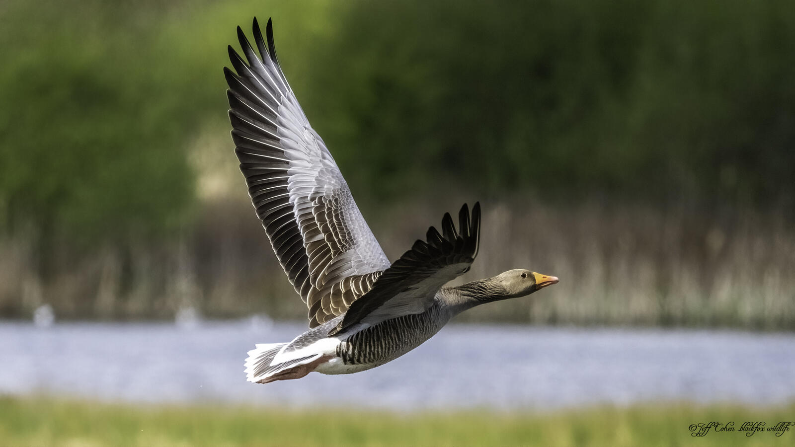 Click image for larger version

Name:	up and away.jpg
Views:	406
Size:	120.5 KB
ID:	874813