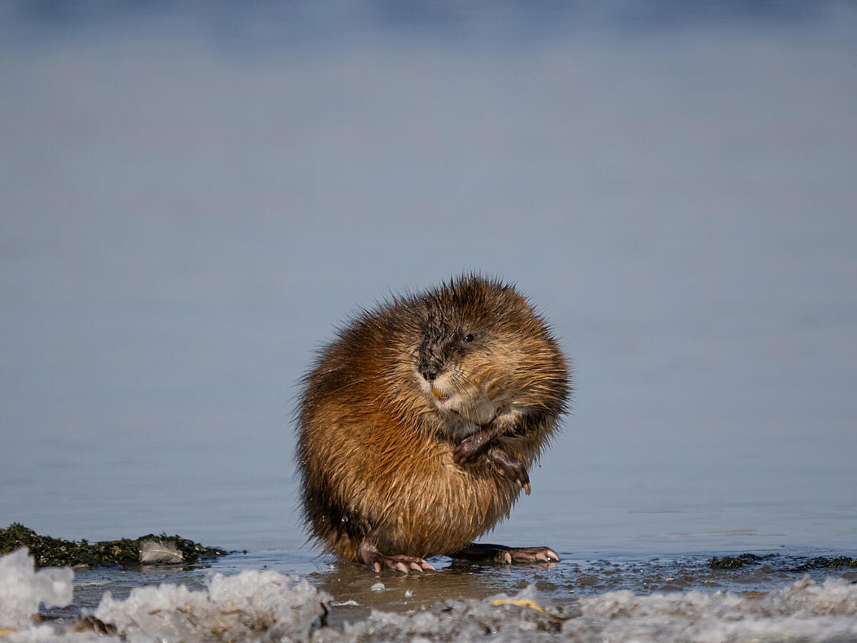 Click image for larger version

Name:	P4180789.jpg
Views:	217
Size:	165.7 KB
ID:	875092