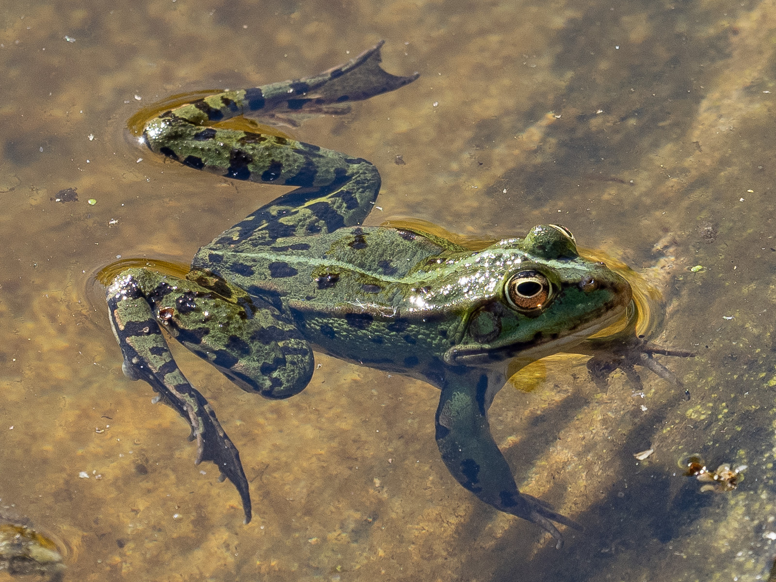 Click image for larger version

Name:	P5010040.jpg
Views:	189
Size:	951.0 KB
ID:	876582