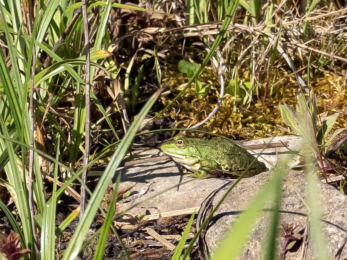 Click image for larger version

Name:	P5010045.jpg
Views:	196
Size:	800.8 KB
ID:	876583