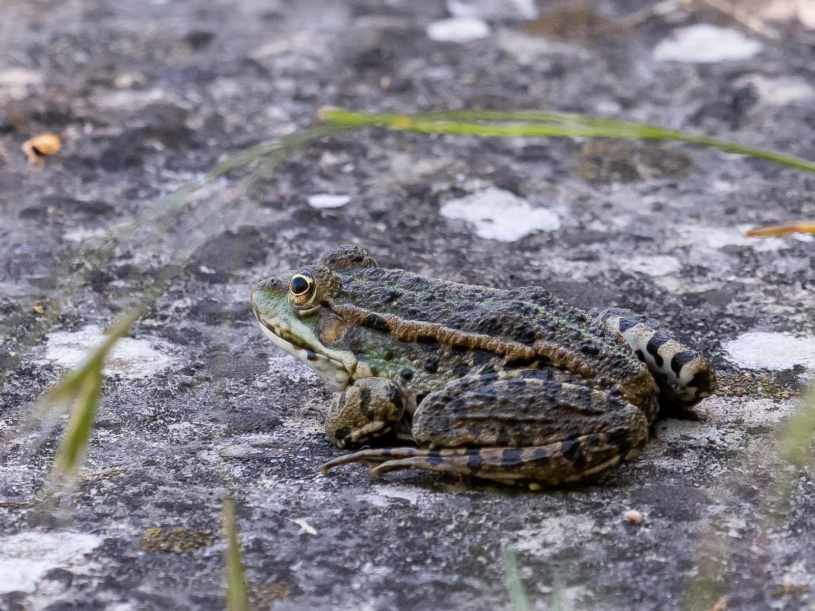 Click image for larger version

Name:	P5010043.jpg
Views:	204
Size:	1.00 MB
ID:	876584