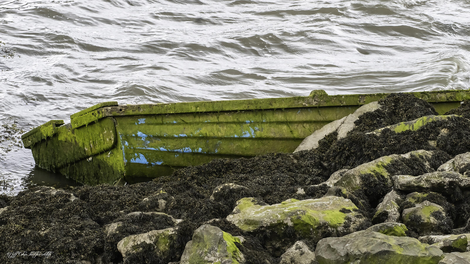 Click image for larger version

Name:	all washed up .jpg
Views:	98
Size:	440.2 KB
ID:	877418