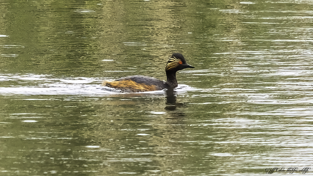 Click image for larger version

Name:	BNG.jpg
Views:	68
Size:	714.8 KB
ID:	881093