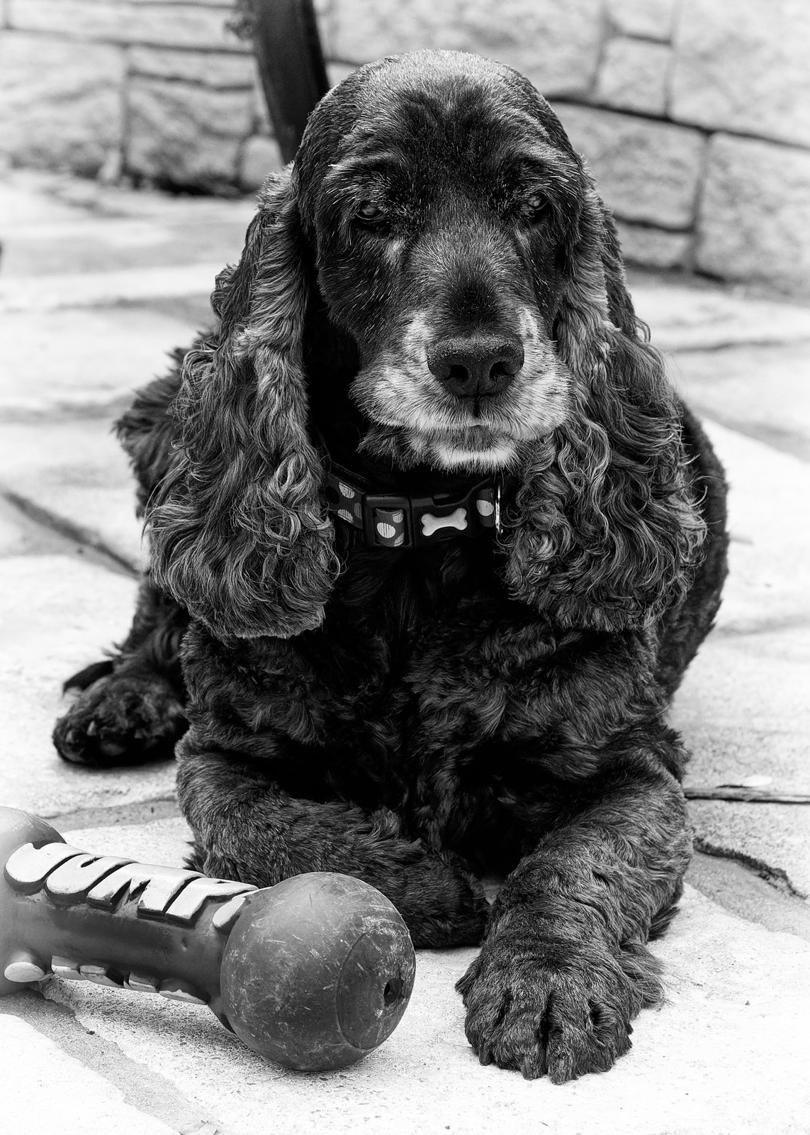 Click image for larger version

Name:	image_25459.jpg
Views:	69
Size:	649.4 KB
ID:	883301