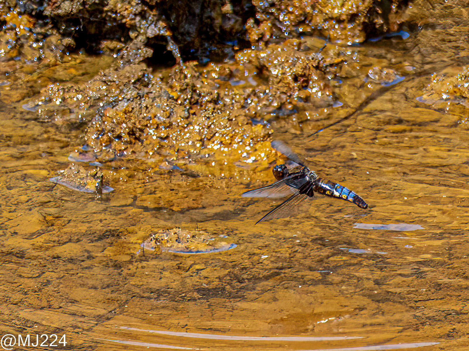 Click image for larger version  Name:	P7158592-Edit (Large).jpg Views:	0 Size:	709.5 KB ID:	885325