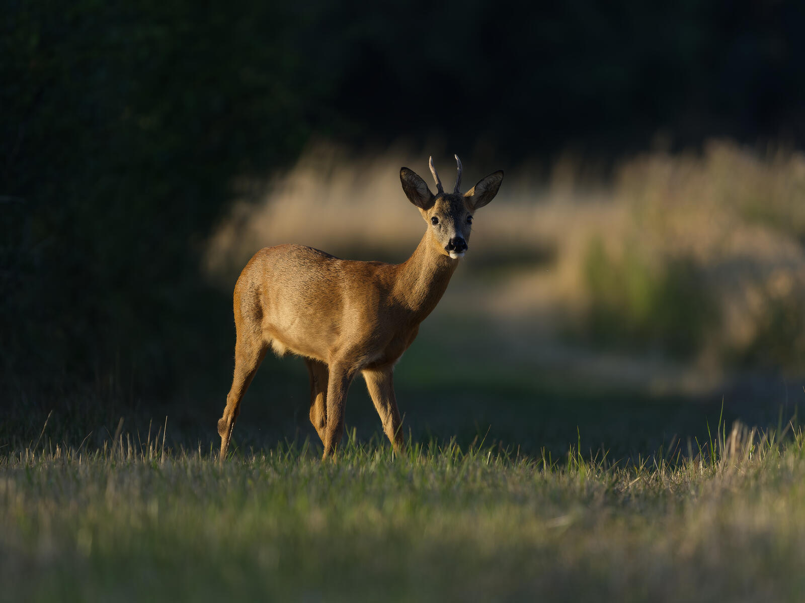 Click image for larger version

Name:	P7311336.jpg
Views:	121
Size:	133.4 KB
ID:	887244