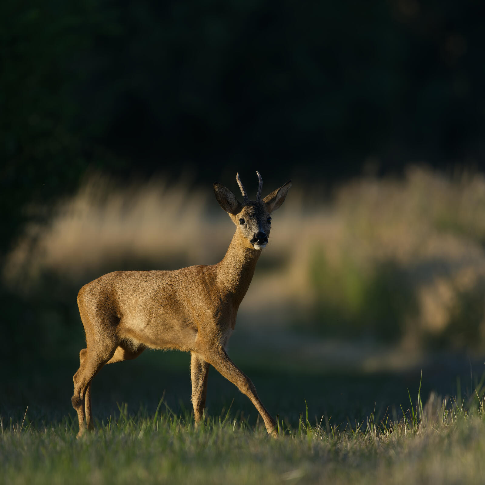 Click image for larger version

Name:	P7311164.jpg
Views:	118
Size:	179.2 KB
ID:	887245