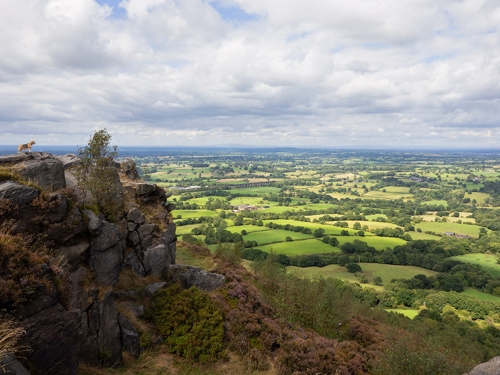 Click image for larger version

Name:	Enjoying-The-View-small.jpg
Views:	641
Size:	341.0 KB
ID:	889112