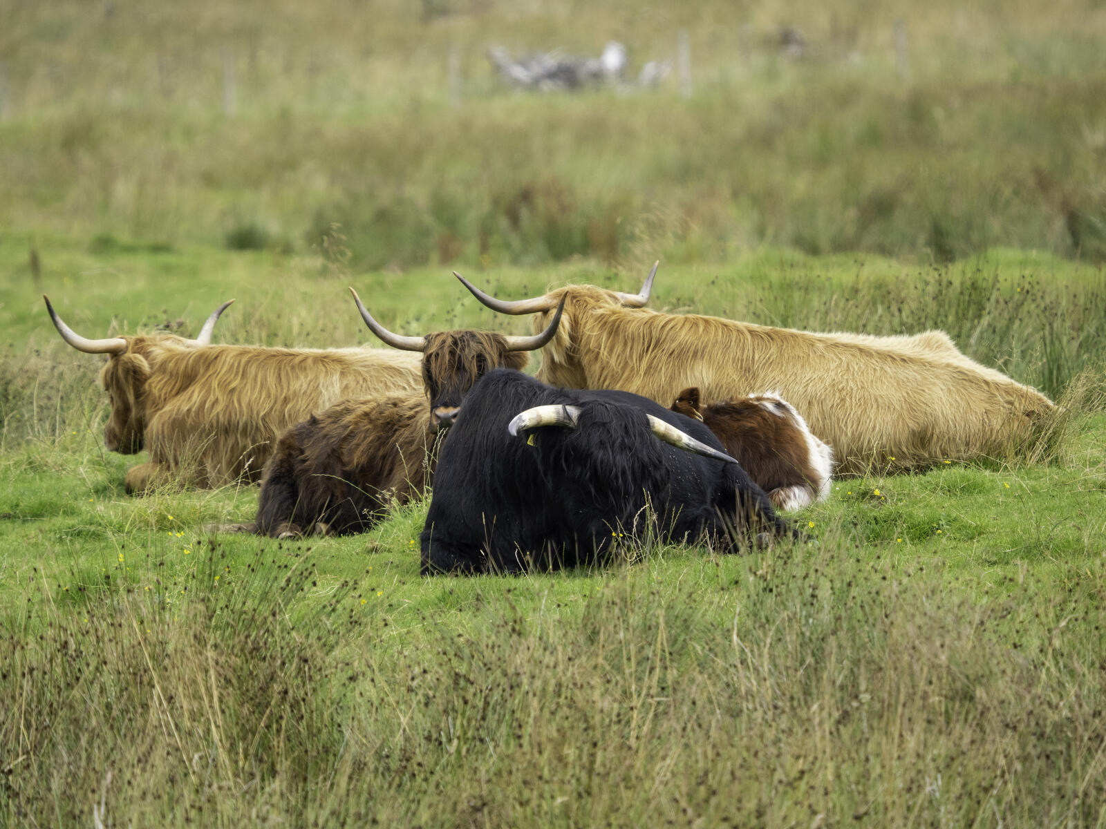 Click image for larger version

Name:	P8160456.jpg
Views:	101
Size:	352.1 KB
ID:	889484