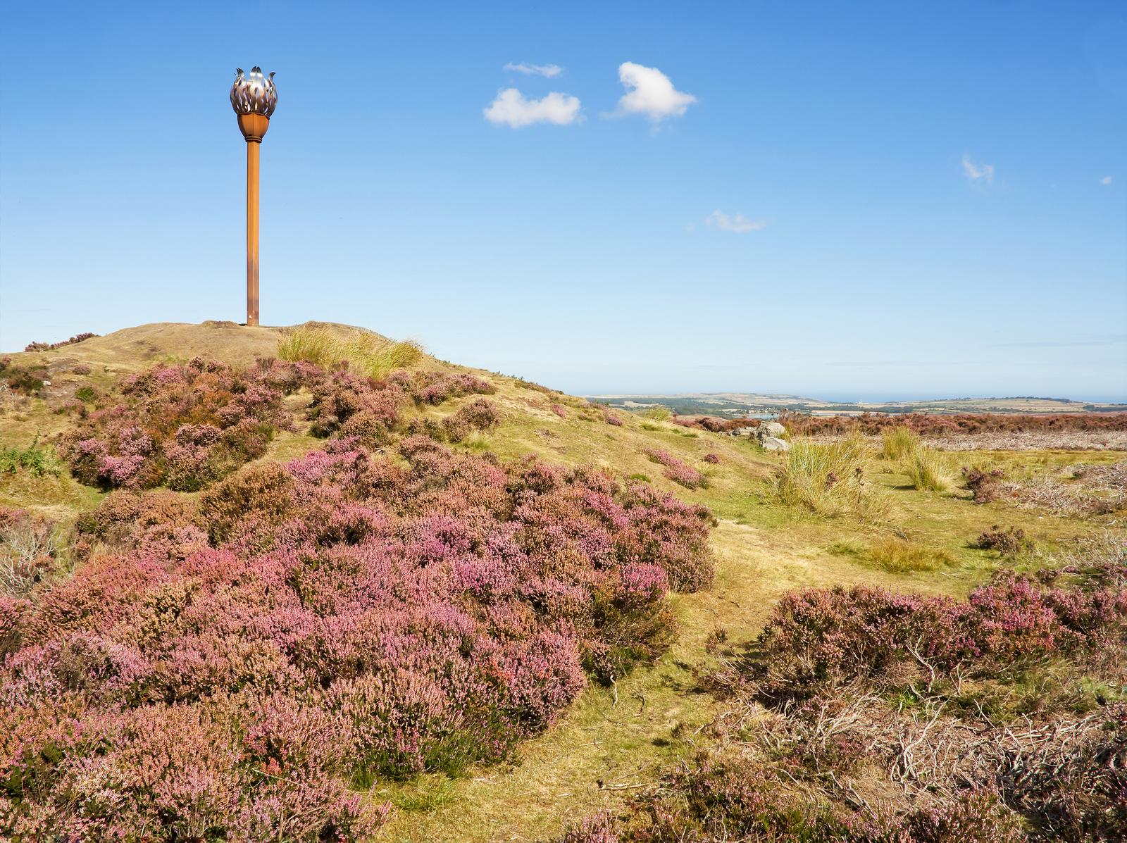 Click image for larger version

Name:	NYM1.jpg
Views:	573
Size:	2.99 MB
ID:	890481