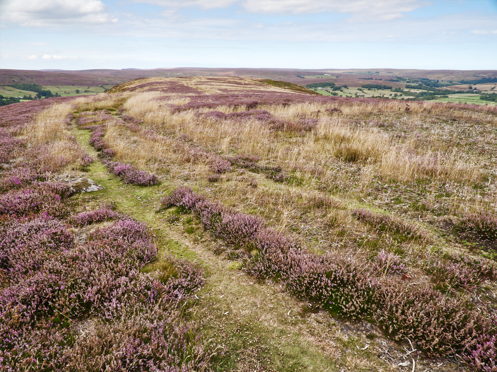 Click image for larger version

Name:	NYM2.jpg
Views:	97
Size:	3.32 MB
ID:	890482