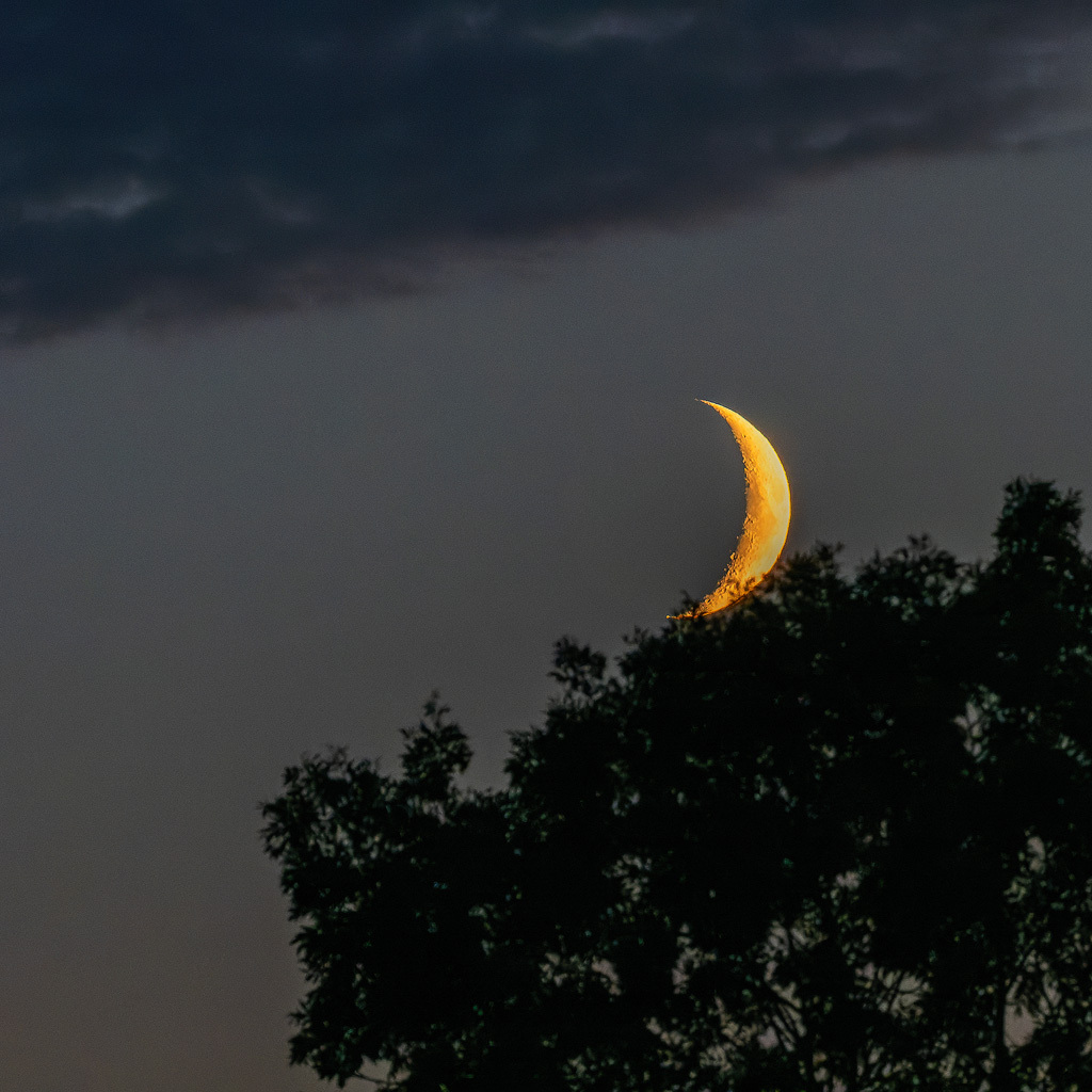 Click image for larger version

Name:	Moon-310822.jpg
Views:	201
Size:	241.7 KB
ID:	890524