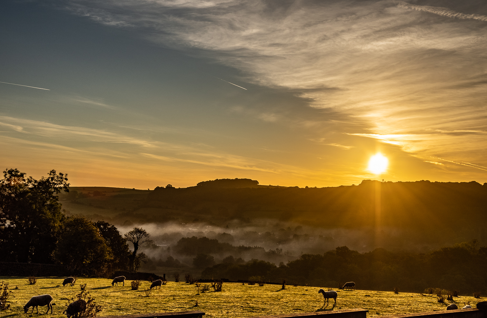 Click image for larger version

Name:	P9135216.jpg
Views:	577
Size:	1.41 MB
ID:	892215