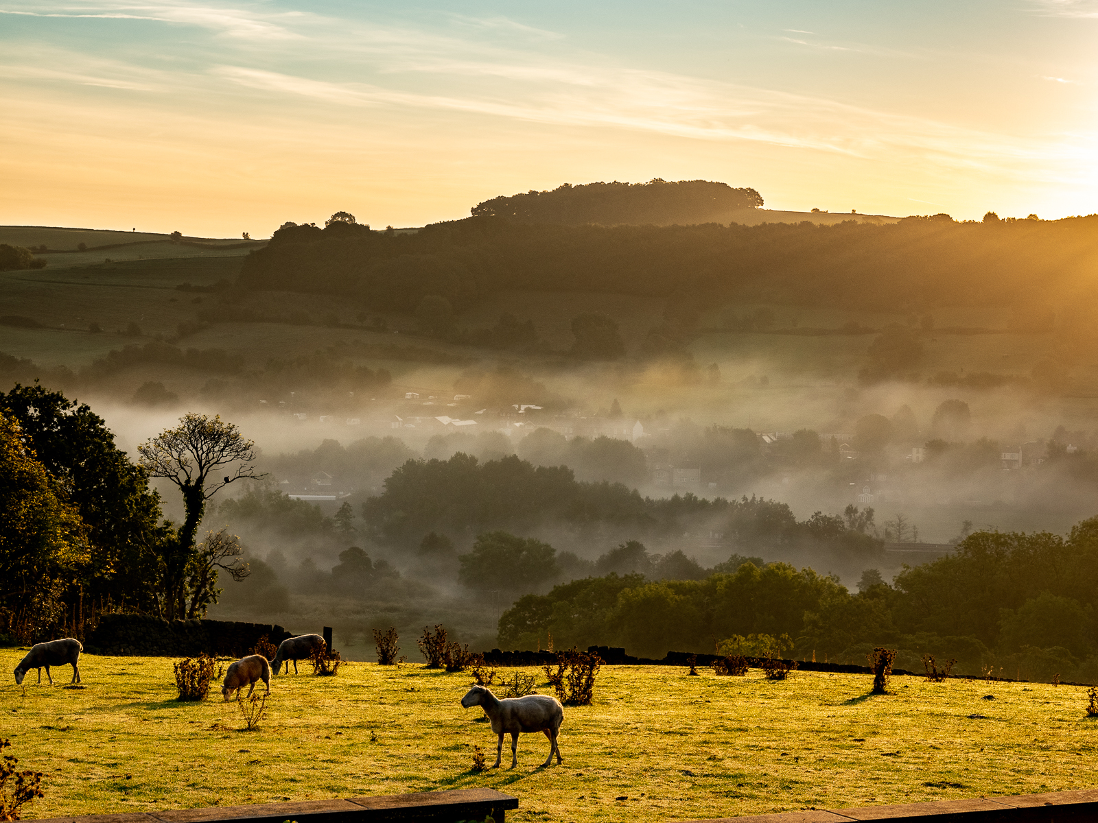 Click image for larger version

Name:	P9135228.jpg
Views:	68
Size:	1.83 MB
ID:	892216