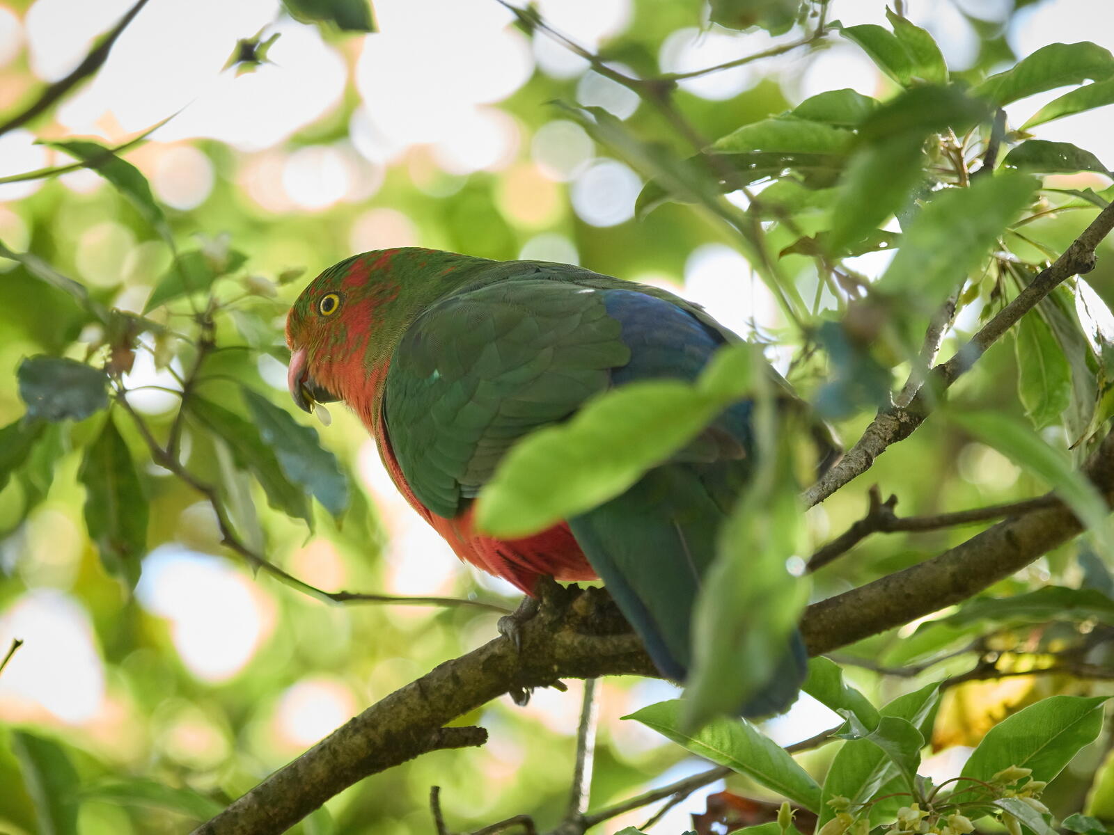 Click image for larger version  Name:	J9141167(CO22)-adj-DN-ms.jpg Views:	0 Size:	213.3 KB ID:	892298