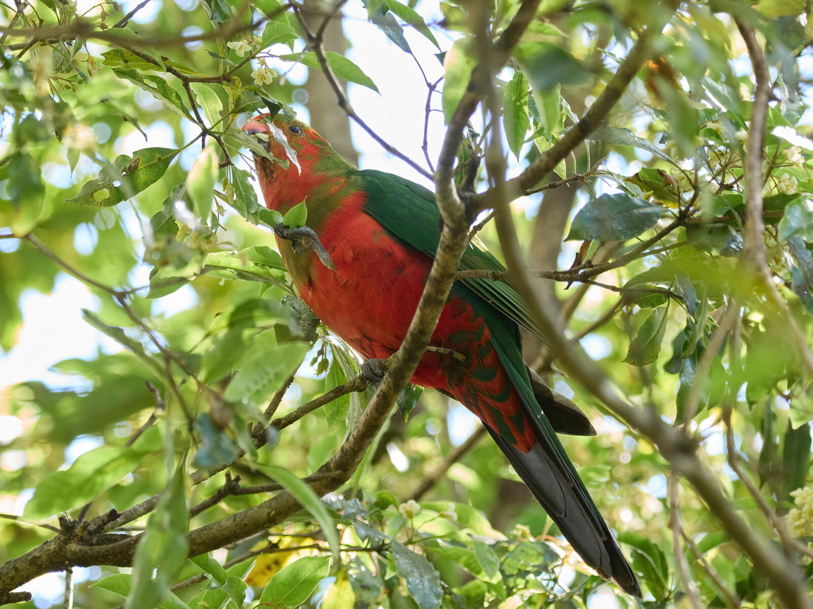 Click image for larger version  Name:	J9141224(CO22)-adj-DN-ms.jpg Views:	0 Size:	318.4 KB ID:	892310