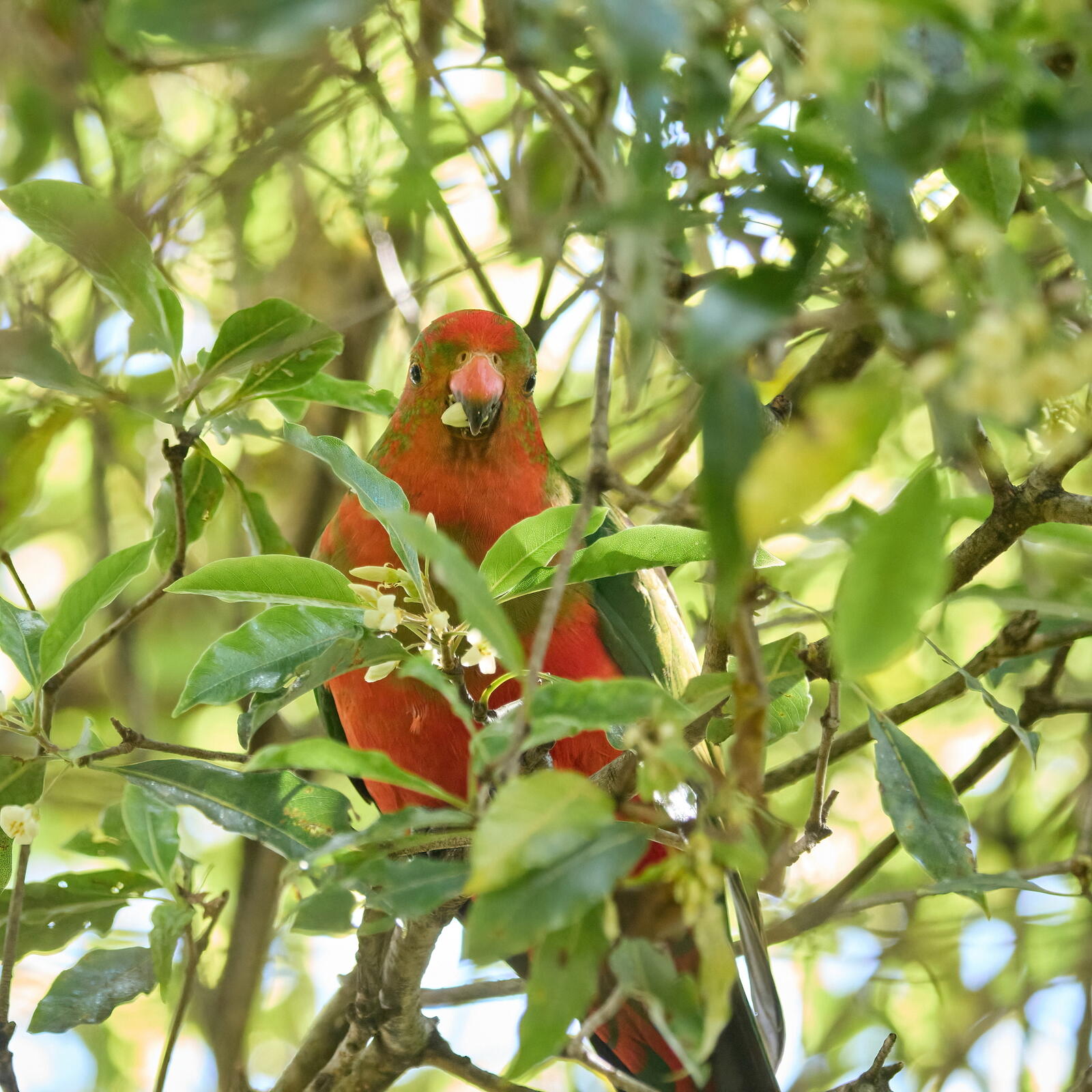 Click image for larger version  Name:	J9141235(CO22)-cr-adj-DN-ms.jpg Views:	0 Size:	325.5 KB ID:	892309