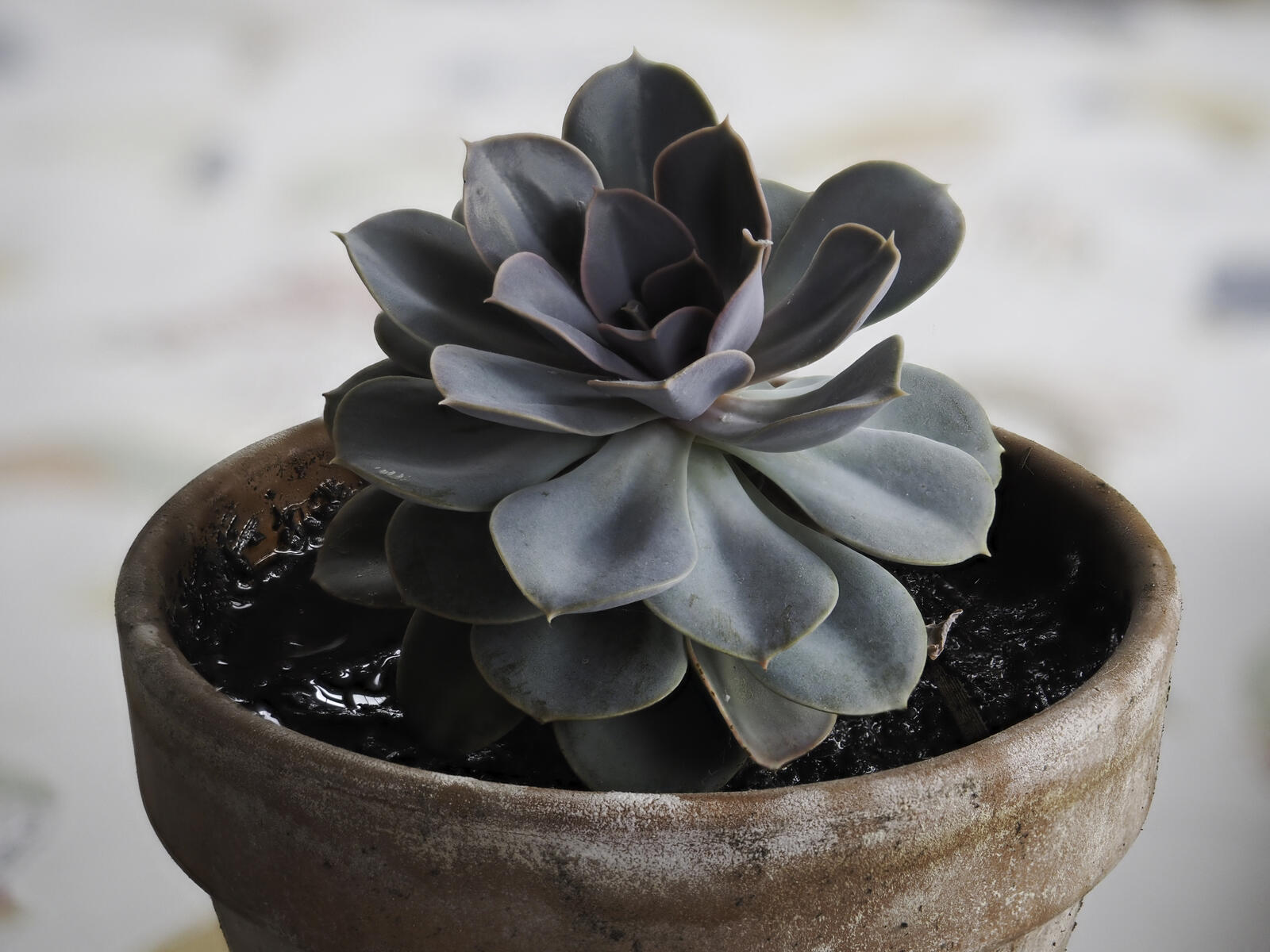 Click image for larger version

Name:	EM533681_full.jpg
Views:	124
Size:	211.6 KB
ID:	893631