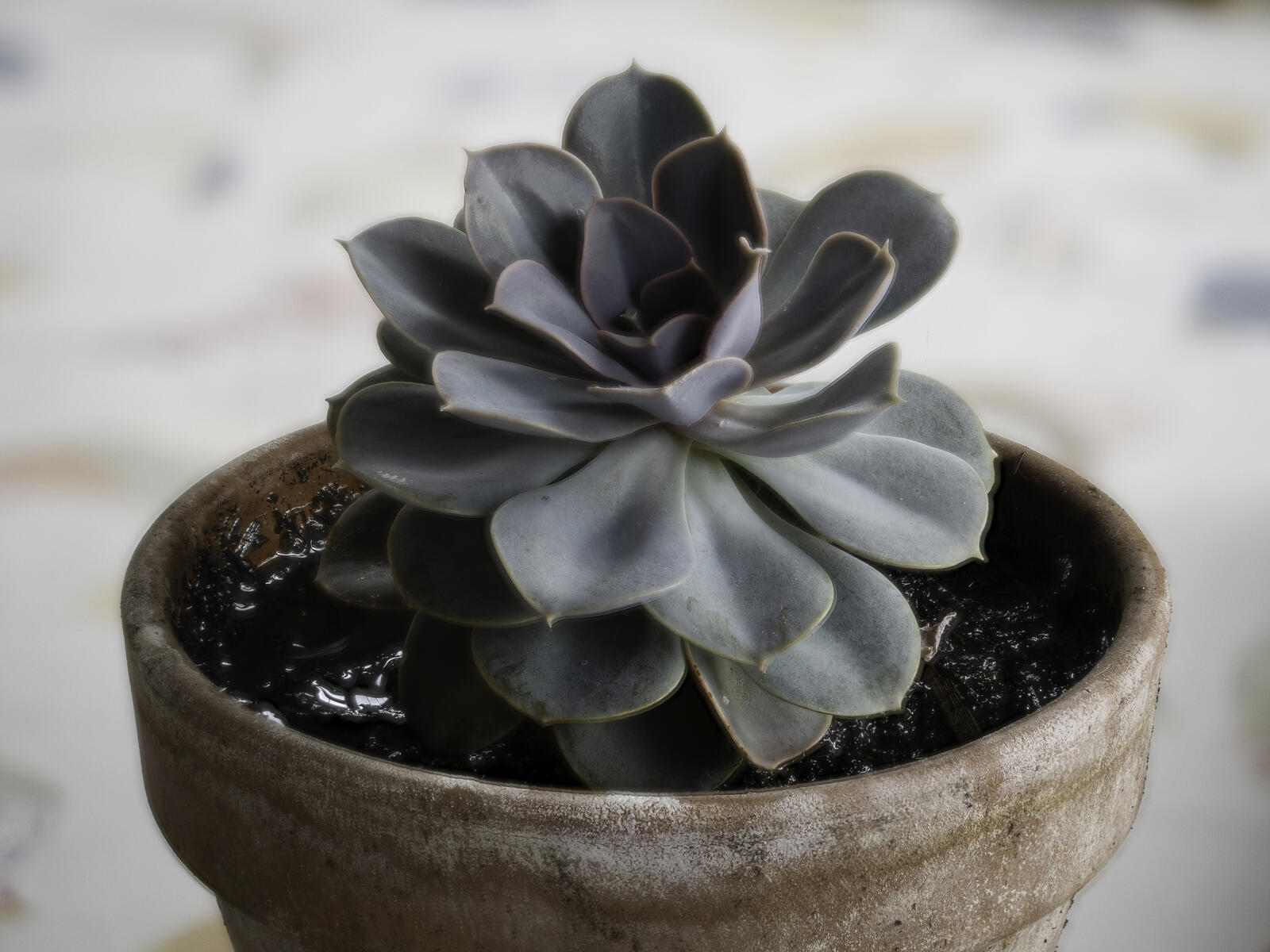 Click image for larger version

Name:	Hugin_full.jpg
Views:	99
Size:	204.6 KB
ID:	893635