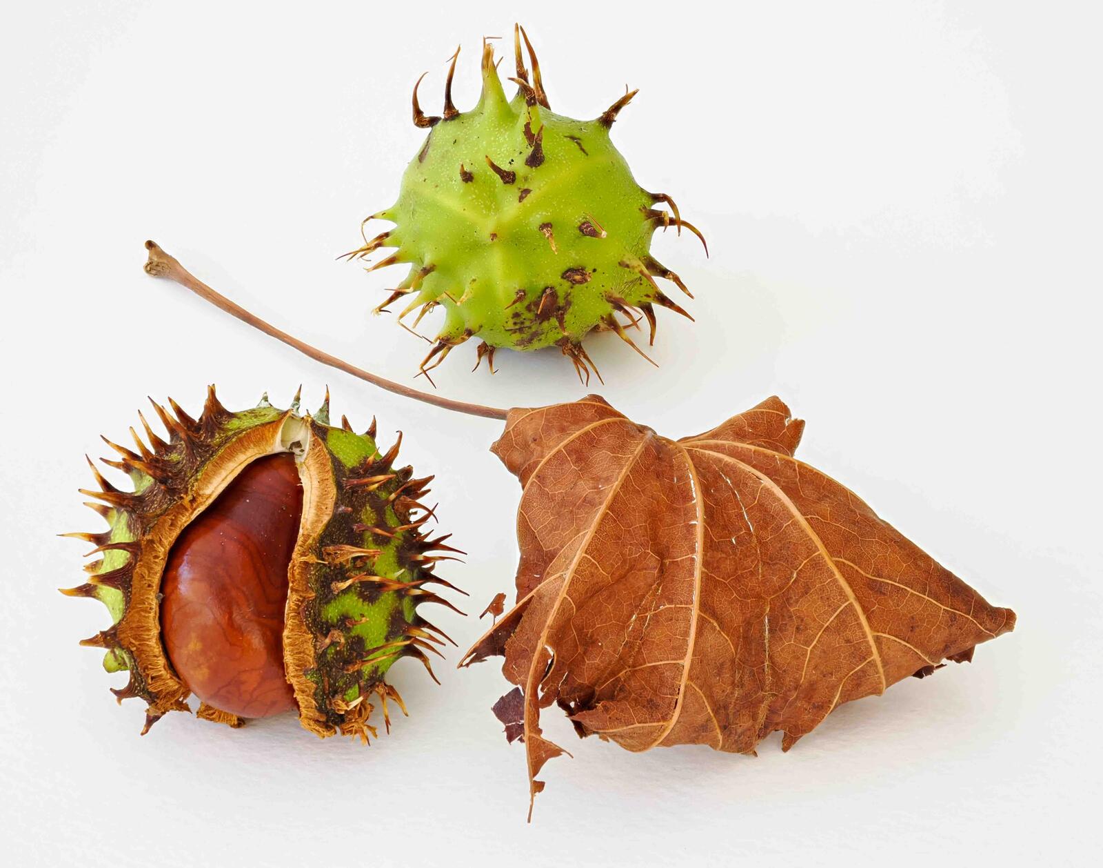 Click image for larger version

Name:	f4.jpg
Views:	103
Size:	243.9 KB
ID:	893637