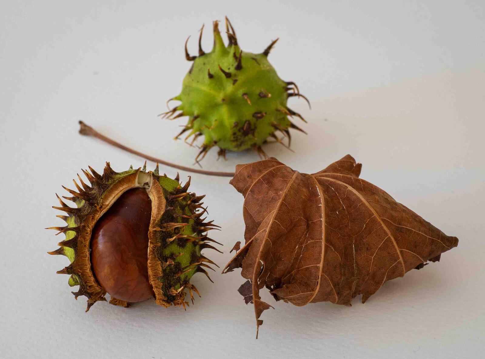 Click image for larger version

Name:	f8.jpg
Views:	99
Size:	196.7 KB
ID:	893669