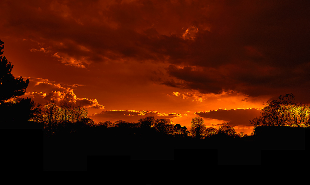 Click image for larger version  Name:	Evening.jpg Views:	430 Size:	243.2 KB ID:	893861