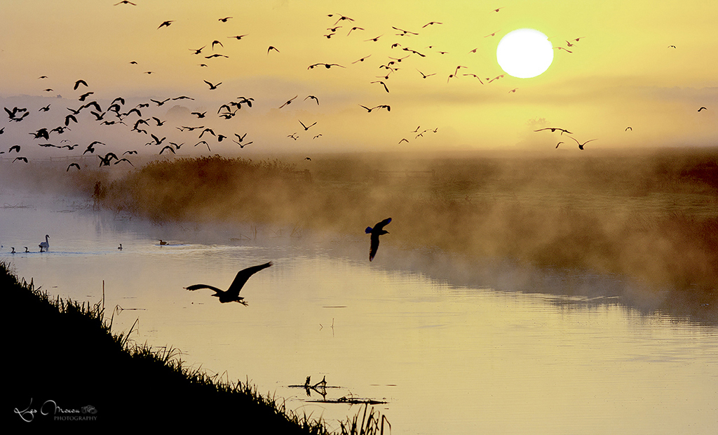 Click image for larger version  Name:	49022188533_f7d2f7f112_o.jpg Views:	191 Size:	507.6 KB ID:	895019