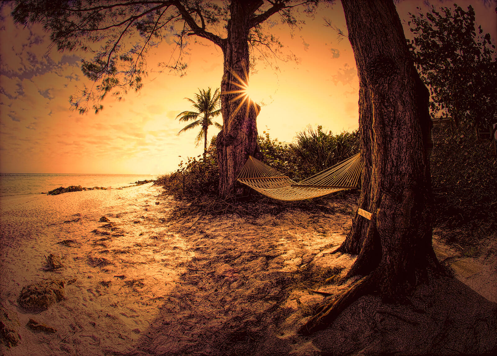 Click image for larger version  Name:	The World Needs More Hammocks, X.jpg Views:	0 Size:	614.0 KB ID:	896176