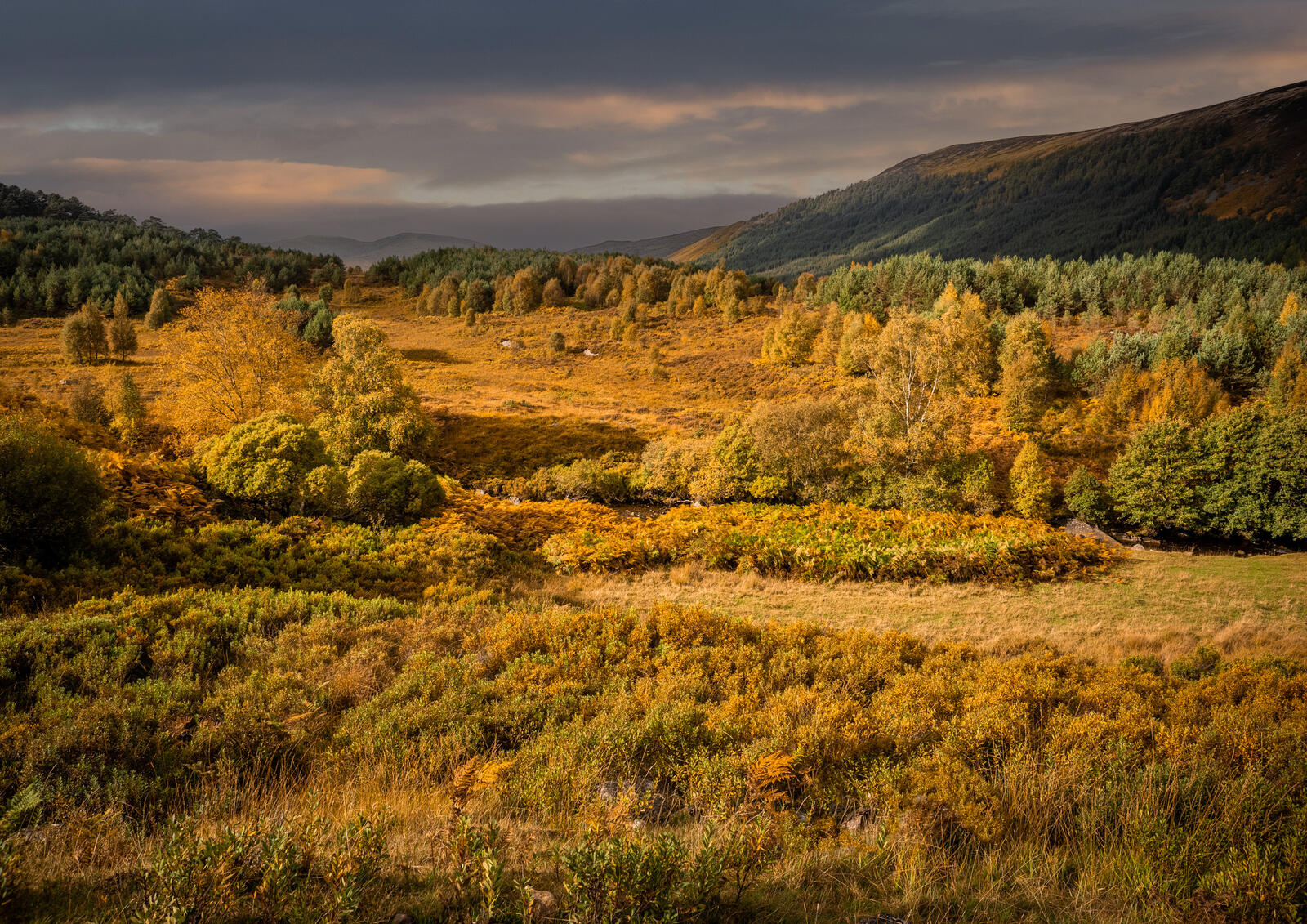 Click image for larger version  Name:	Glen Lyon.jpg Views:	80 Size:	661.0 KB ID:	896708