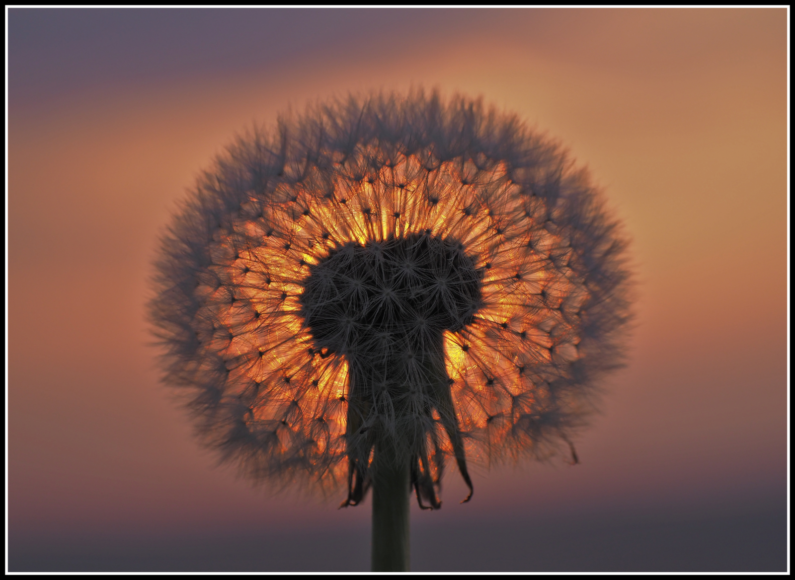 Click image for larger version  Name:	PEN60724v1.jpg Views:	23 Size:	1.51 MB ID:	897072