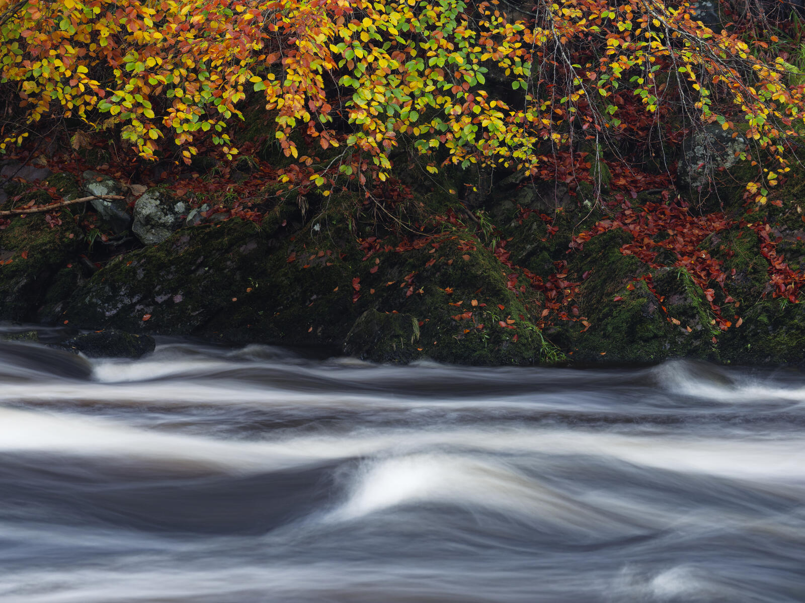 Click image for larger version

Name:	_A300115_DxO.jpg
Views:	394
Size:	464.8 KB
ID:	897324