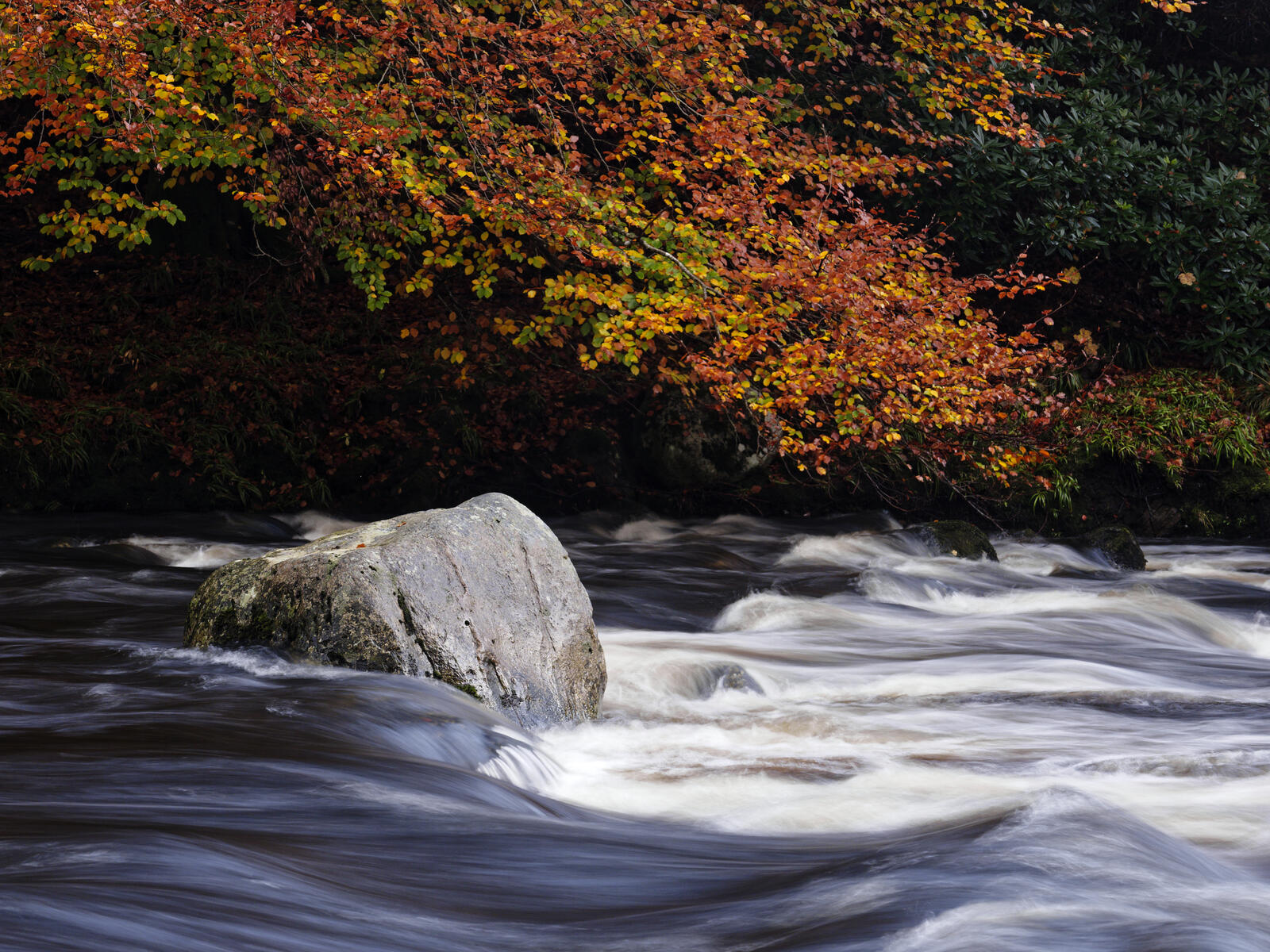 Click image for larger version

Name:	_A300082_DxO.jpg
Views:	44
Size:	501.6 KB
ID:	897325