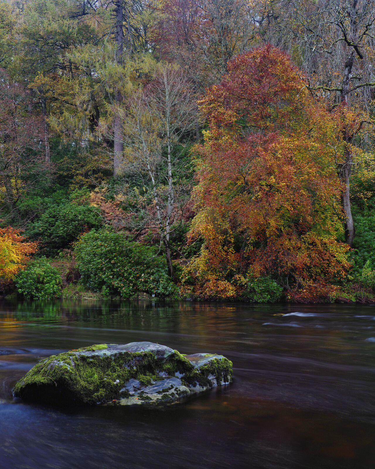 Click image for larger version

Name:	_A300104_DxO.jpg
Views:	45
Size:	710.6 KB
ID:	897326