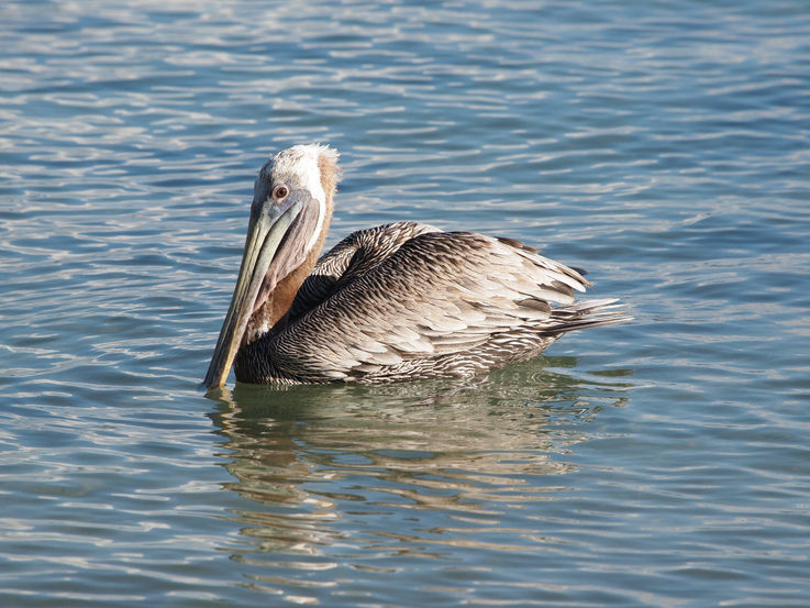 Click image for larger version

Name:	image.png
Views:	48
Size:	685.1 KB
ID:	899327