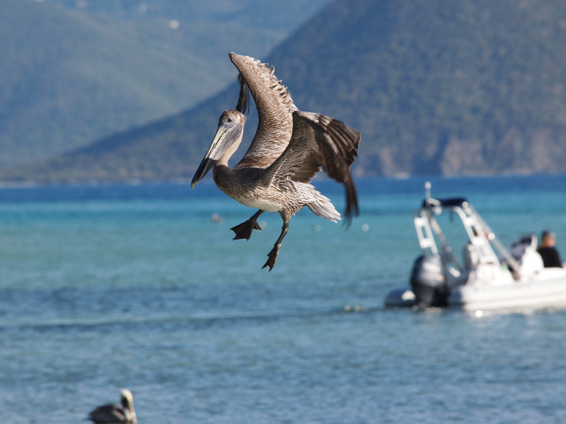 Click image for larger version

Name:	image.png
Views:	44
Size:	683.8 KB
ID:	899328