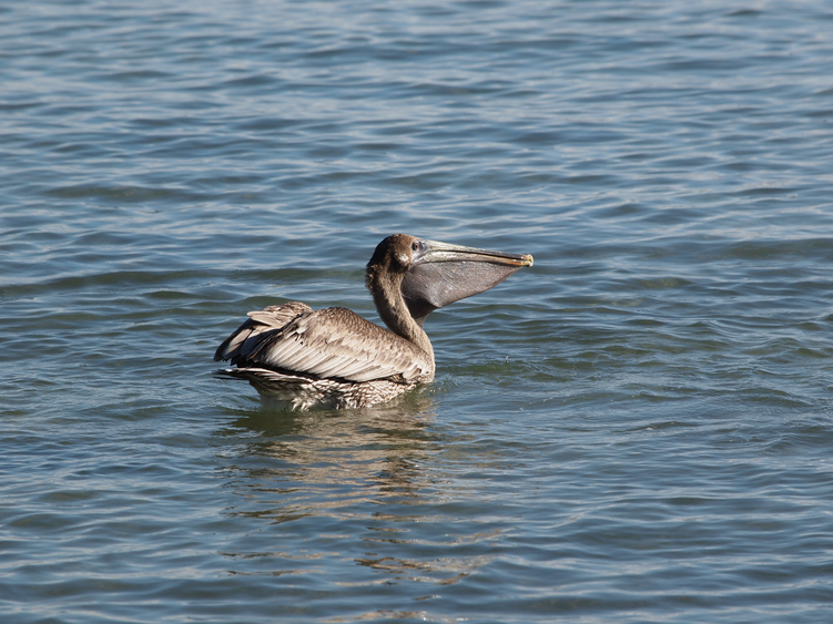 Click image for larger version

Name:	image.png
Views:	44
Size:	676.5 KB
ID:	899329