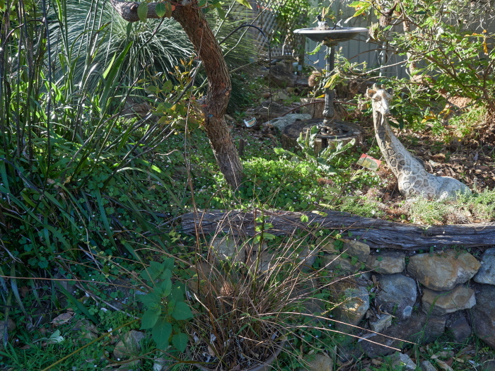 Click image for larger version  Name:	KB235406(CO22)-adj-s.jpg Views:	0 Size:	363.9 KB ID:	900979