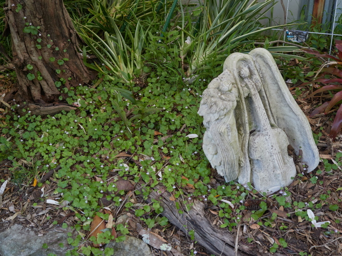 Click image for larger version  Name:	KB235408(CO22)-adj-s.jpg Views:	0 Size:	331.0 KB ID:	900980