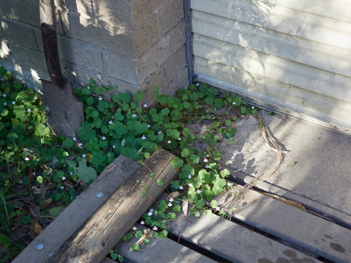 Click image for larger version  Name:	KB235412(CO22)-adj-s.jpg Views:	0 Size:	259.3 KB ID:	900981