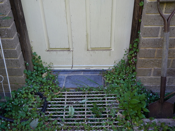 Click image for larger version  Name:	KB235416(CO22)-adj-s.jpg Views:	0 Size:	259.8 KB ID:	900982