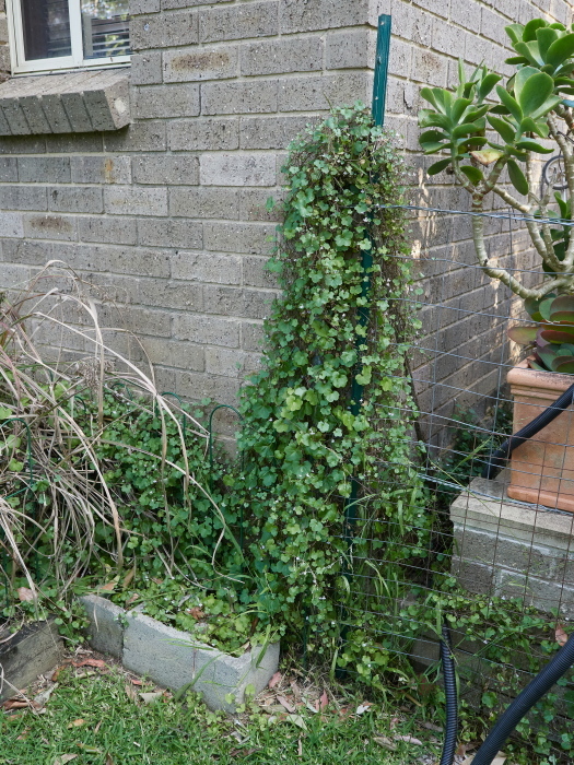 Click image for larger version  Name:	KB235451(CO22)-adj-s.jpg Views:	0 Size:	341.2 KB ID:	900983