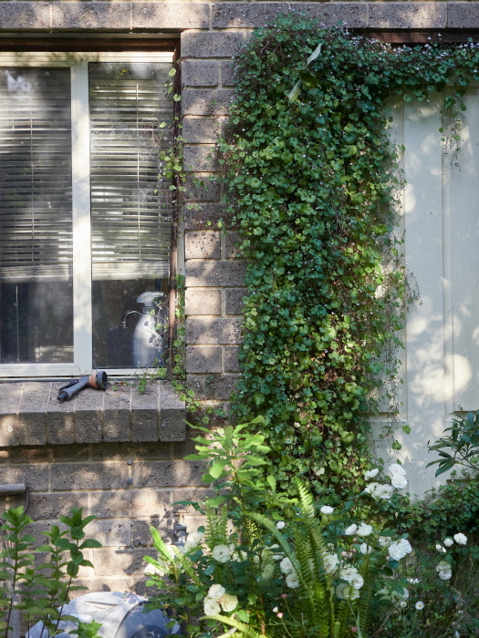 Click image for larger version  Name:	KB235454(CO22)-adj-s.jpg Views:	0 Size:	313.1 KB ID:	900984