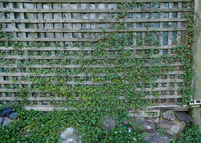 Click image for larger version  Name:	KB235437(CO22)-adj-s.jpg Views:	0 Size:	332.0 KB ID:	900985