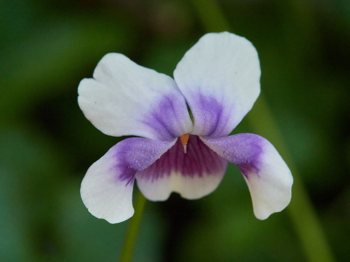 Click image for larger version

Name:	KB245509(CO22)-adj-s.jpg
Views:	153
Size:	139.2 KB
ID:	900992