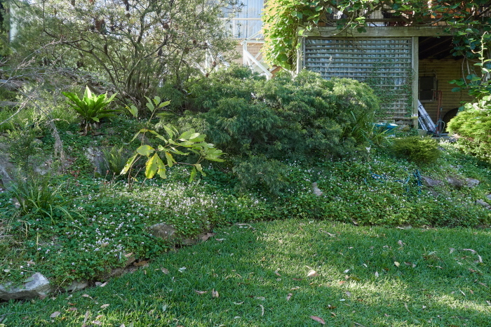 Click image for larger version

Name:	KB235427(CO22)-adj-s.jpg
Views:	149
Size:	331.9 KB
ID:	900999