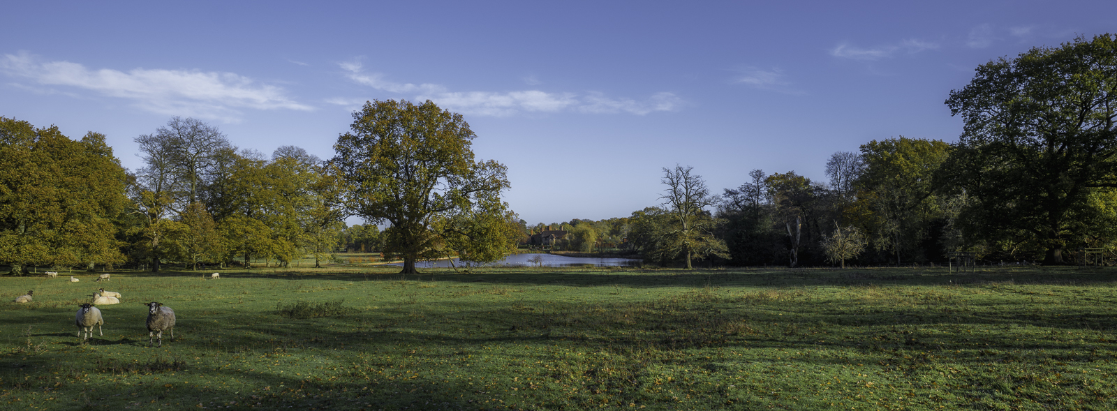 Click image for larger version

Name:	PS5_1285-Edit_1600.jpg
Views:	392
Size:	1,010.7 KB
ID:	901455