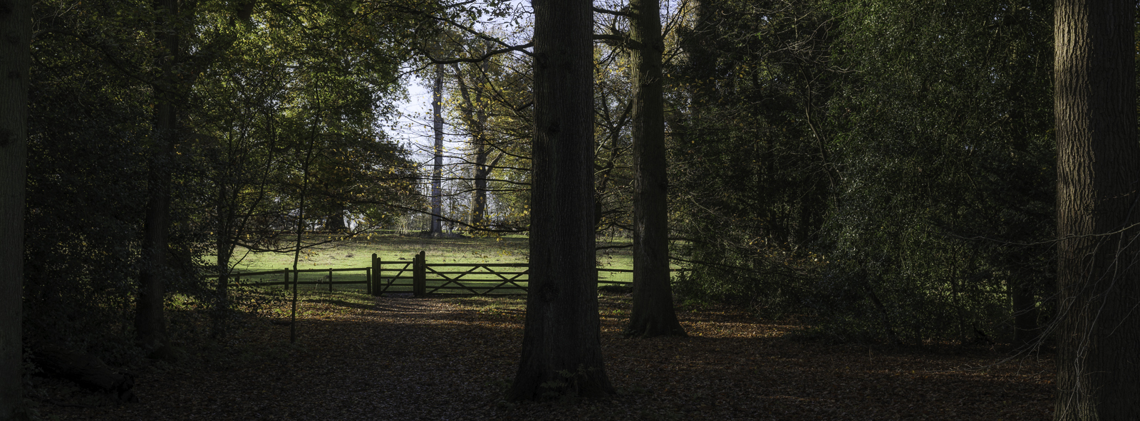 Click image for larger version

Name:	PS5_1298-Edit_1600.jpg
Views:	385
Size:	1.02 MB
ID:	901456