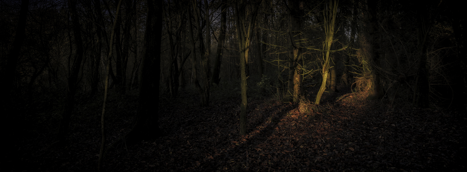 Click image for larger version

Name:	PS5_1147-Edit_1600.jpg
Views:	397
Size:	691.4 KB
ID:	901457